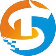 胜天半子集团 logo